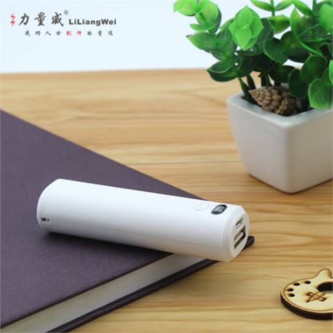 單節(jié)移動(dòng)電源 智能2600毫安禮品充電寶  手機(jī)POWER BANK